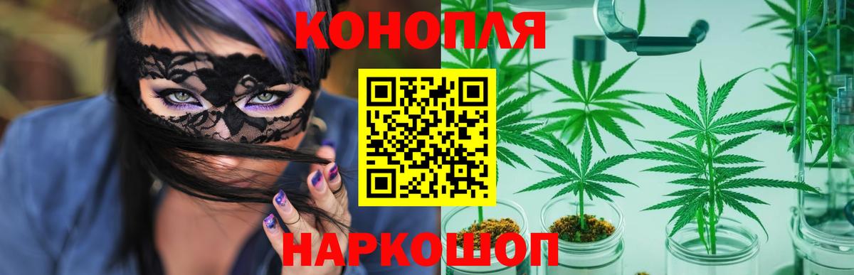 Бошки Шишки индика Георгиевск